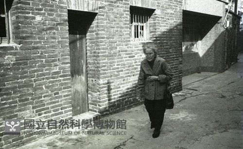 1950至2006年臺灣常民生活藏品圖，第1張