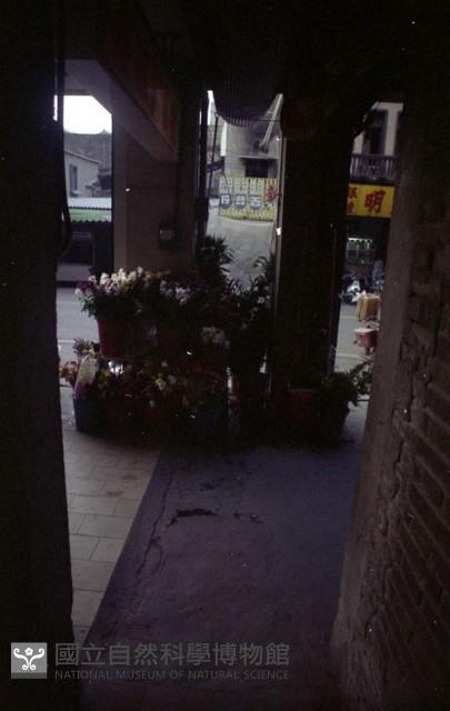 1950至2006年臺灣常民生活藏品圖，第1張