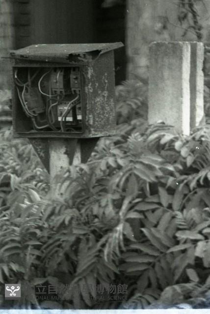 1950至2006年臺灣常民生活藏品圖，第1張