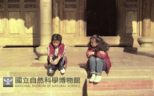 1950至2006年臺灣常民生活藏品圖，第1張