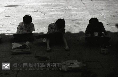 1950至2006年臺灣常民生活藏品圖，第1張