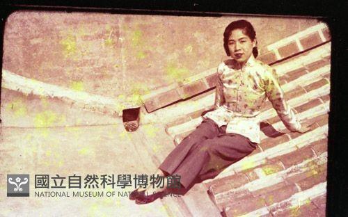 1950至2006年臺灣常民生活藏品圖，第1張