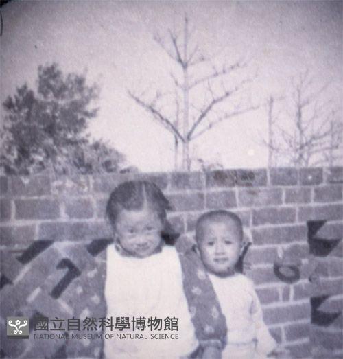 1950至2006年臺灣常民生活藏品圖，第1張