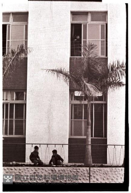 1950至2006年臺灣常民生活藏品圖，第1張