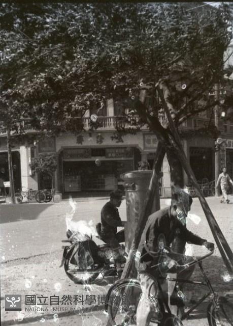 1950至2006年臺灣常民生活藏品圖，第1張