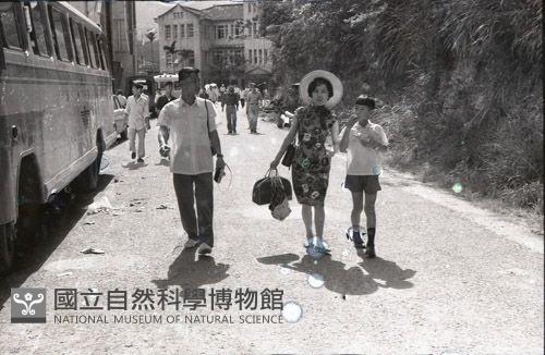 1950至2006年臺灣常民生活藏品圖，第1張