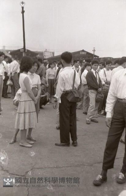 1950至2006年臺灣常民生活藏品圖，第1張