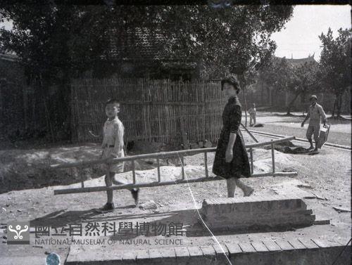 1950至2006年臺灣常民生活藏品圖，第1張