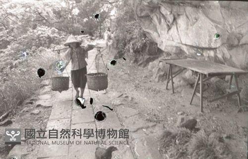 1950至2006年臺灣常民生活藏品圖，第1張