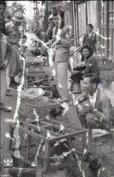1950至2006年臺灣常民生活藏品圖，第1張