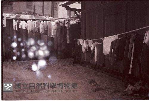 1950至2006年臺灣常民生活藏品圖，第1張