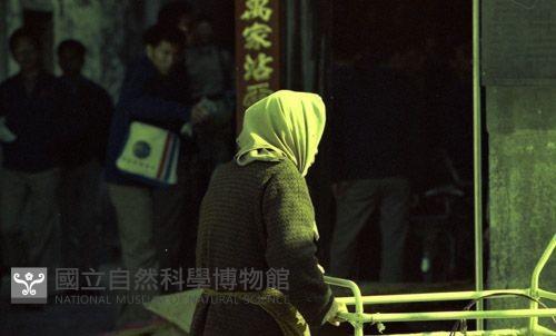 1950至2006年臺灣常民生活藏品圖，第1張