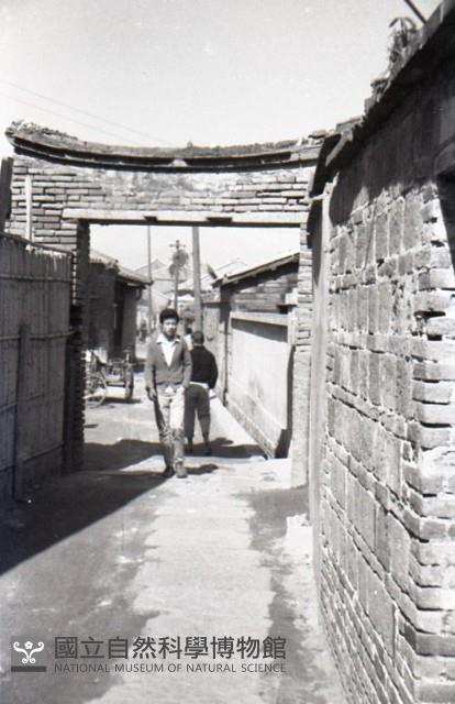 1950至2006年臺灣常民生活藏品圖，第1張