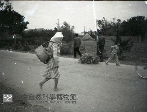1950至2006年台灣常民生活(No:135-3 黑)藏品圖，第1張