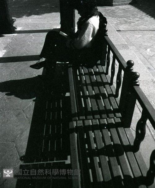 1950至2006年台灣常民生活藏品圖，第1張