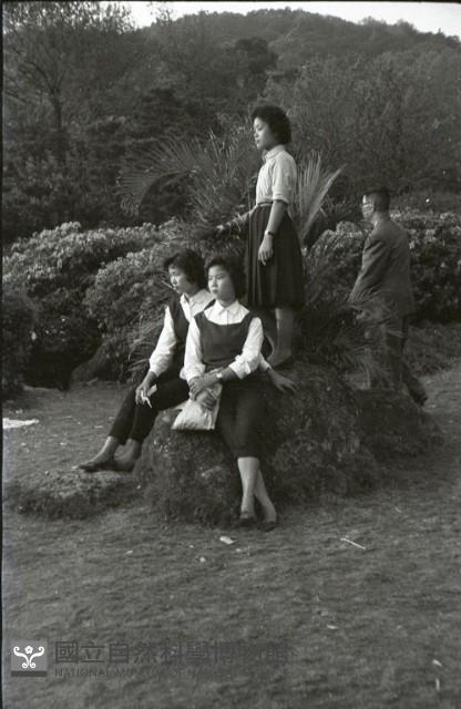 1950至2006年臺灣常民生活藏品圖，第1張