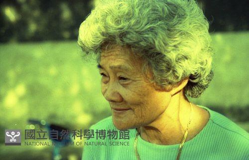 1950至2006年臺灣常民生活藏品圖，第1張