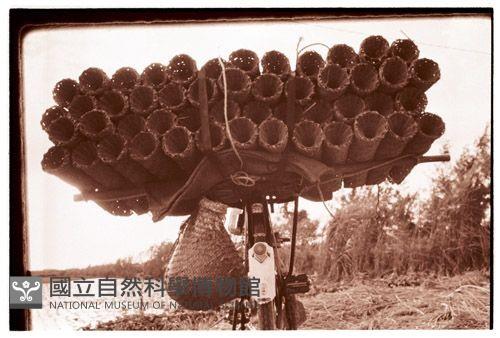 1950至2006年臺灣常民生活藏品圖，第1張