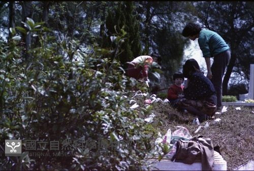 1950至2006年臺灣常民生活藏品圖，第1張