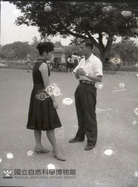 1950至2006年台灣常民生活藏品圖，第1張