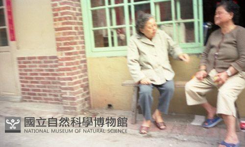1950至2006年臺灣常民生活藏品圖，第1張
