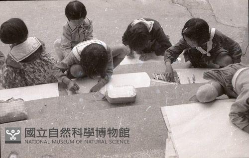 1950至2006年臺灣常民生活藏品圖，第1張