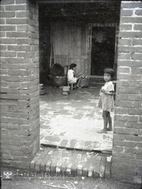 1950至2006年臺灣常民生活藏品圖，第1張