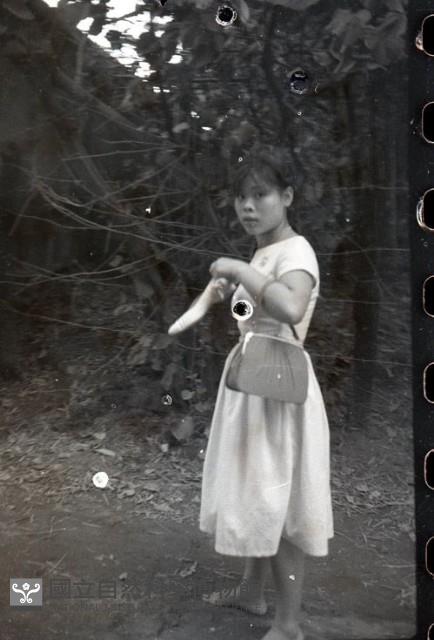 1950至2006年臺灣常民生活藏品圖，第1張