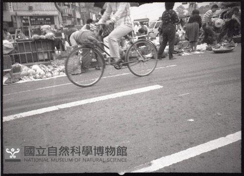 1950至2006年臺灣常民生活藏品圖，第1張