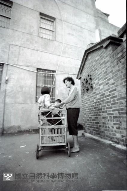 1950至2006年臺灣常民生活藏品圖，第1張