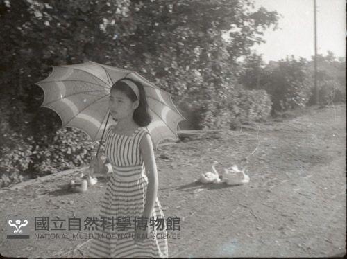 1950至2006年臺灣常民生活藏品圖，第1張