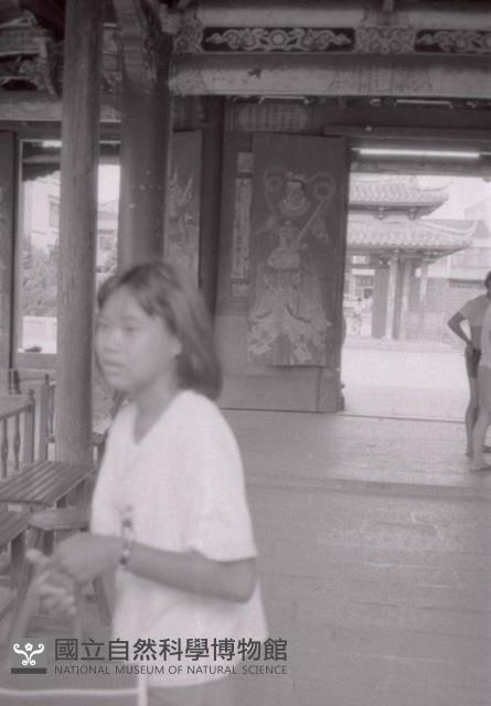1950至2006年臺灣常民生活藏品圖，第1張