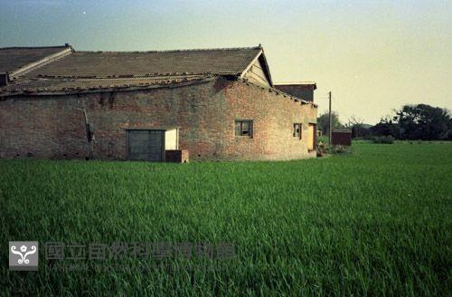 1950至2006年臺灣常民生活藏品圖，第1張