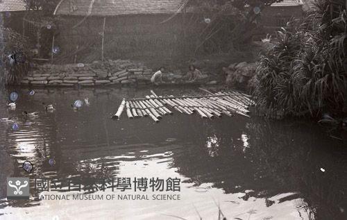1950至2006年臺灣常民生活 藏品圖，第1張
