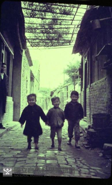 1950至2006年臺灣常民生活藏品圖，第1張