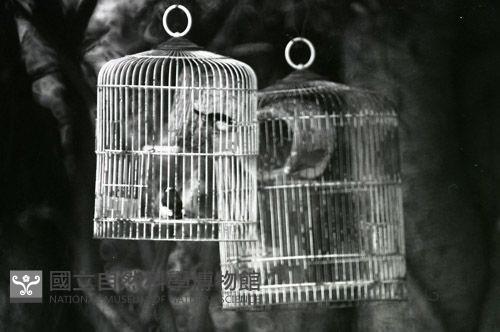 1950至2006年台灣常民生活藏品圖，第1張