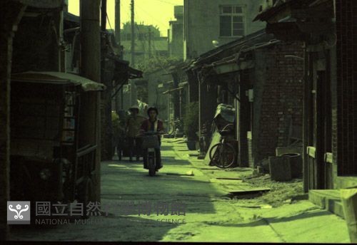 1950至2006年臺灣常民生活藏品圖，第1張