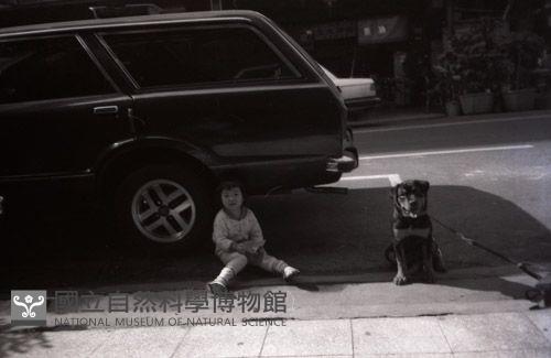 1950至2006年臺灣常民生活藏品圖，第1張