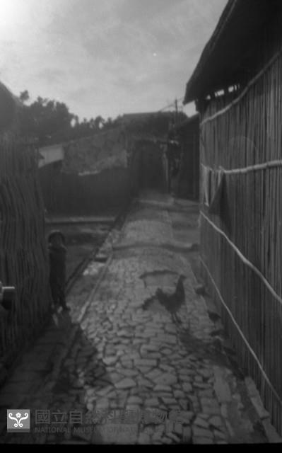 1950至2006年臺灣常民生活藏品圖，第1張
