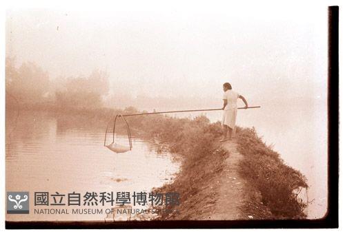 1950至2006年臺灣常民生活藏品圖，第1張