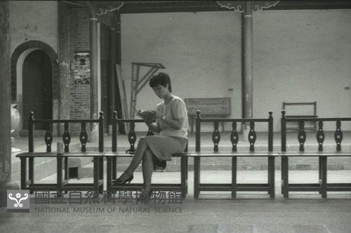 1950至2006年臺灣常民生活藏品圖，第1張