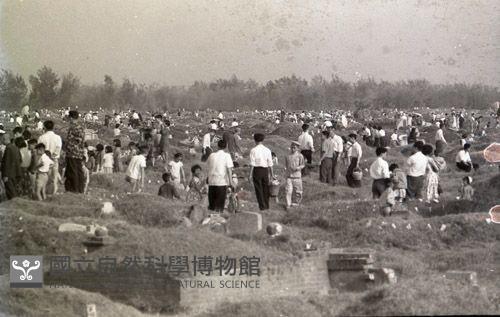 1950至2006年臺灣常民生活藏品圖，第1張