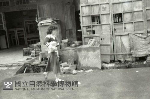 1950至2006年臺灣常民生活藏品圖，第1張