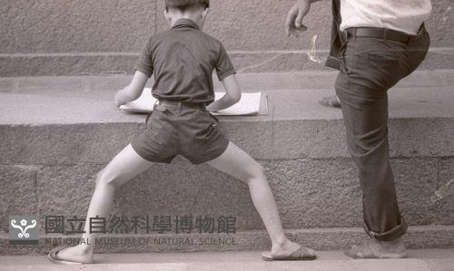 1950至2006年臺灣常民生活藏品圖，第1張