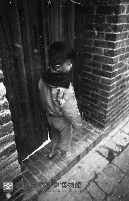 1950至2006年臺灣常民生活藏品圖，第1張