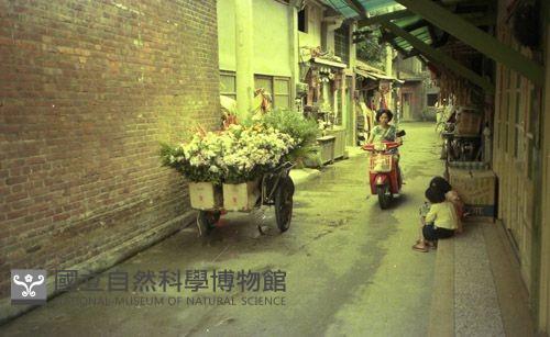 1950至2006年臺灣常民生活藏品圖，第1張