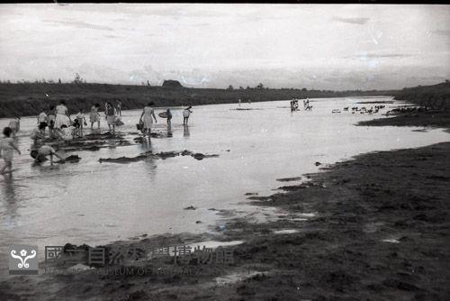 1950至2006年臺灣常民生活藏品圖，第1張