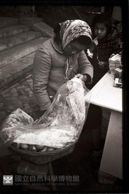 1950至2006年臺灣常民生活藏品圖，第1張