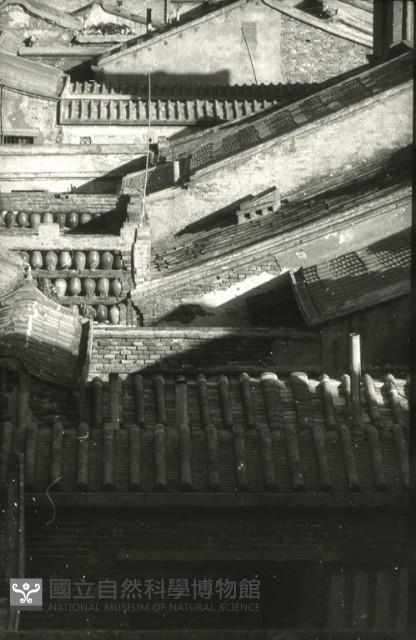 1950至2006年台灣常民生活藏品圖，第1張