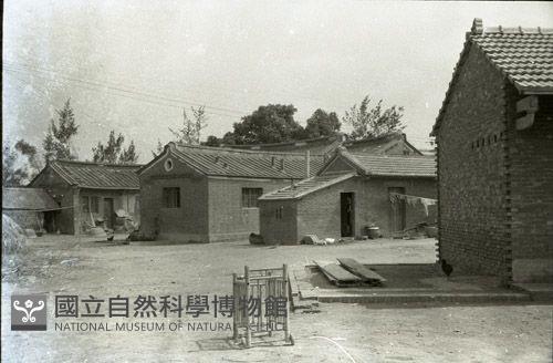 1950至2006年臺灣常民生活藏品圖，第1張